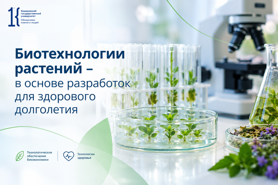 Фото Кемеровского государственного университета 0e72b3822e2d0af68f337b7d2a2e47ac
