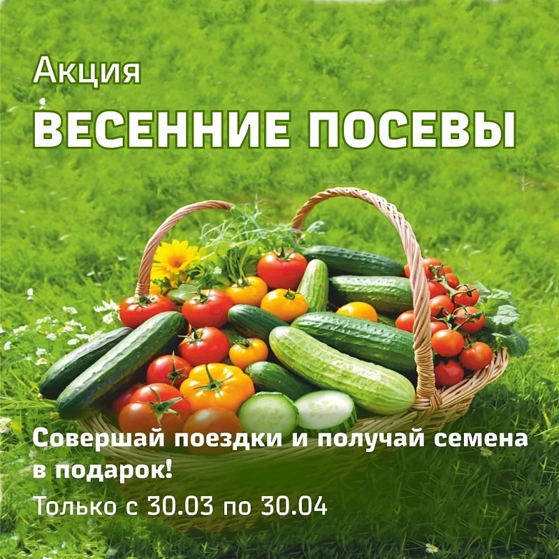 Фото: АО «Кузбасс-пригород» 1sme7m4wggl0x13k17pv1qksbuveyw3k