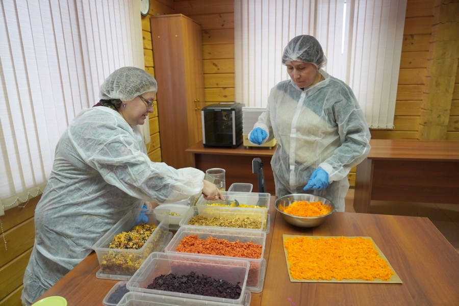 DSC04271 Мини