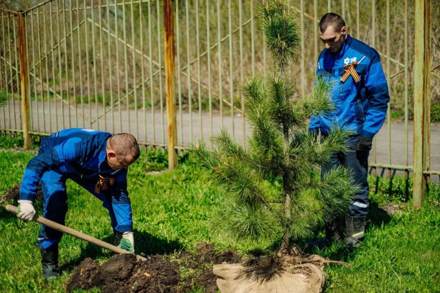 Автор фото Владимир Сопин DSCF0395