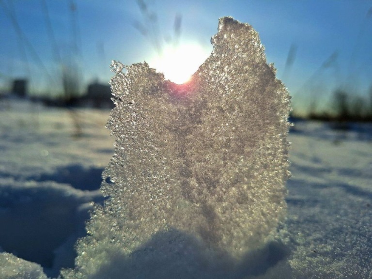 Фото предоставлено «Е-Лайт-Телеком» Hokku4