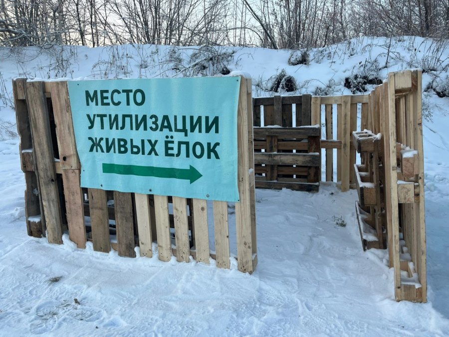 IMG 20250108 162018 188
