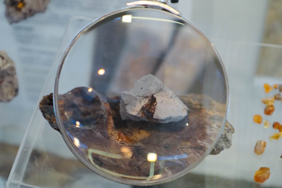 Фото предоставлено пресс-службой АПК IMG 4712