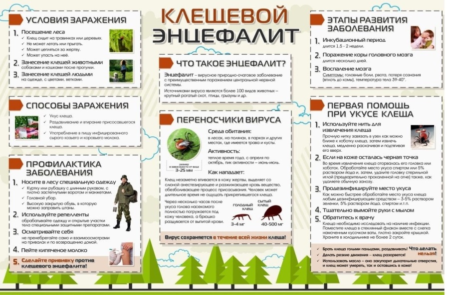 Фото предоставлено пресс-службой АПК KleschPam