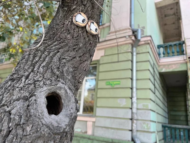 Фото предоставлено «Е-Лайт-Телеком» MT2