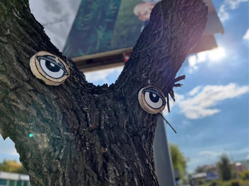 Фото предоставлено «Е-Лайт-Телеком» MT3