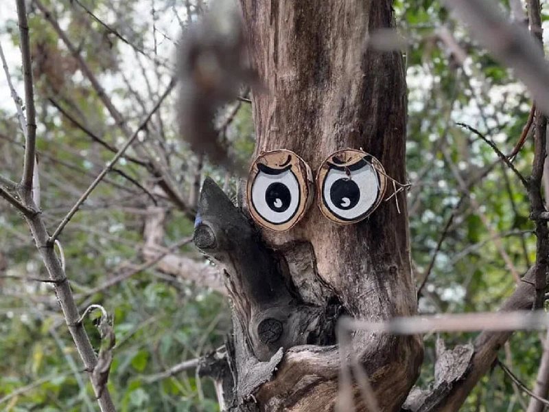 Фото предоставлено «Е-Лайт-Телеком» MT5