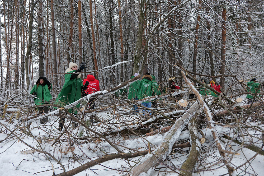 felao6qc6qqg6qplvj0o8350lhkyp6qa