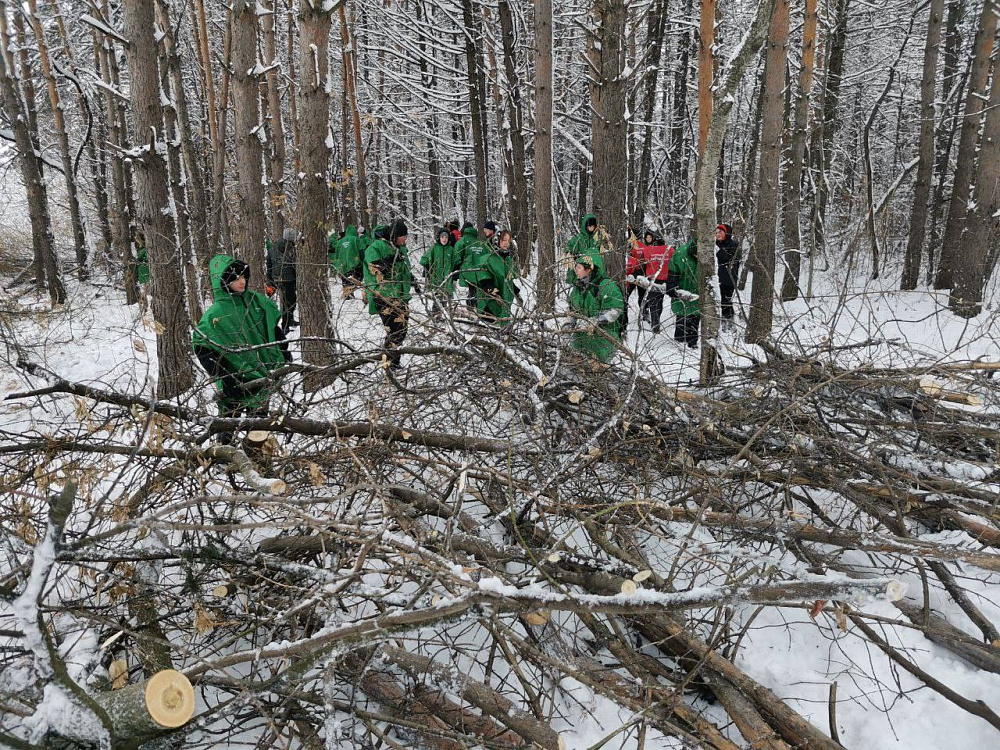 fni1mx8kb45kltzt8q0ocns0sftofvxh