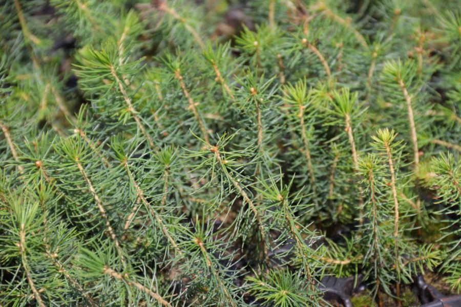 photo 2024 05 17 12 20 01 3