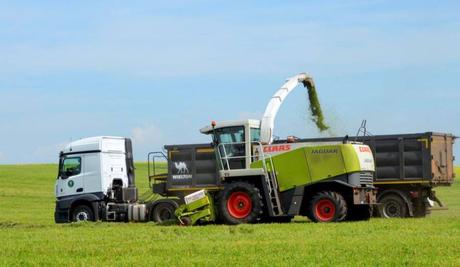 photo 2025 11 01 10 48 05