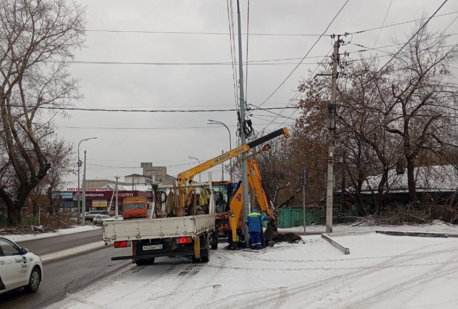 photo 2025 11 13 12 37 47