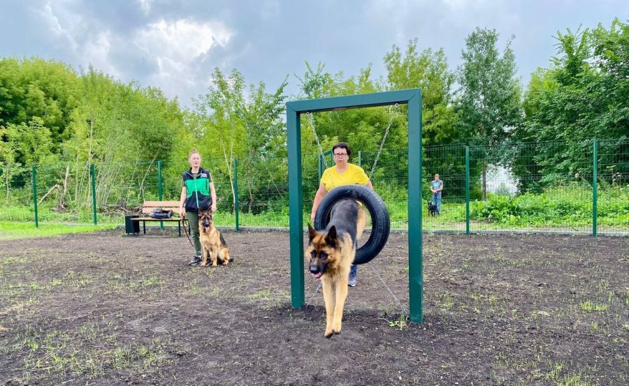 photo 5269379523470814160 y